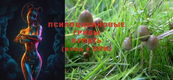 дживик Белоозёрский